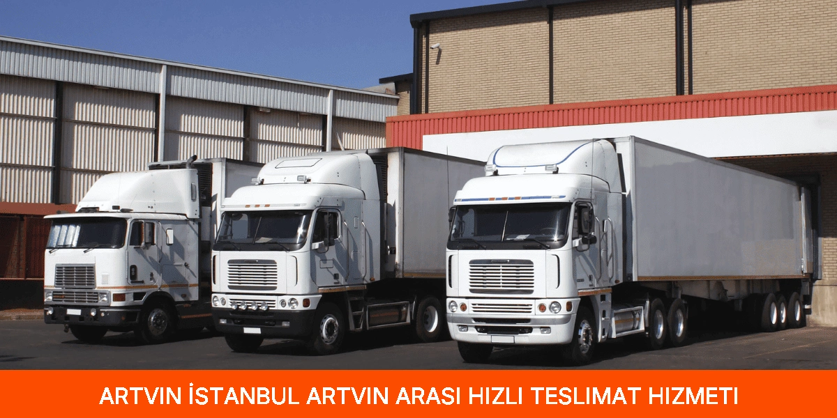 İstanbul Artvin Arası Hızlı Teslimat Hizmeti