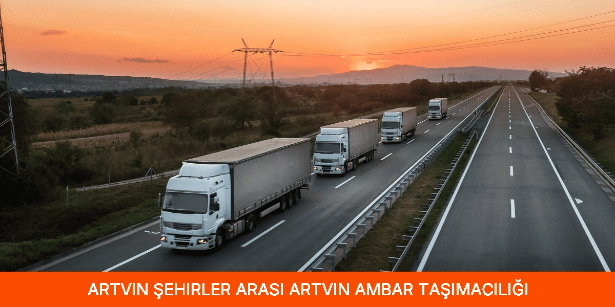 Şehirler Arası Artvin Ambar Taşımacılığı